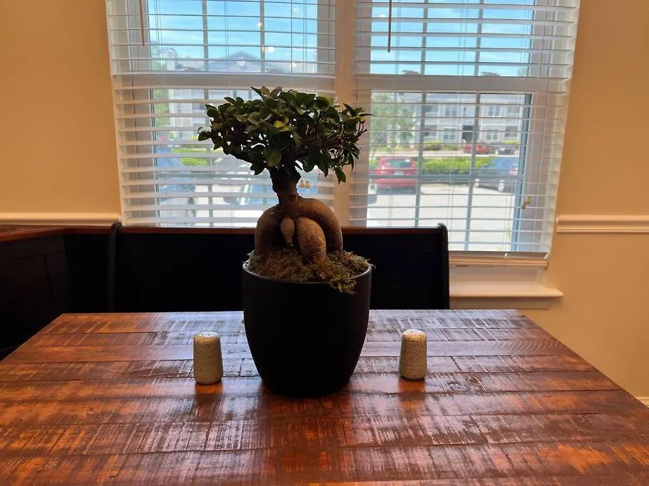2 Brand New King Size Beds 2 Full Baths Condo! Virginia Beach